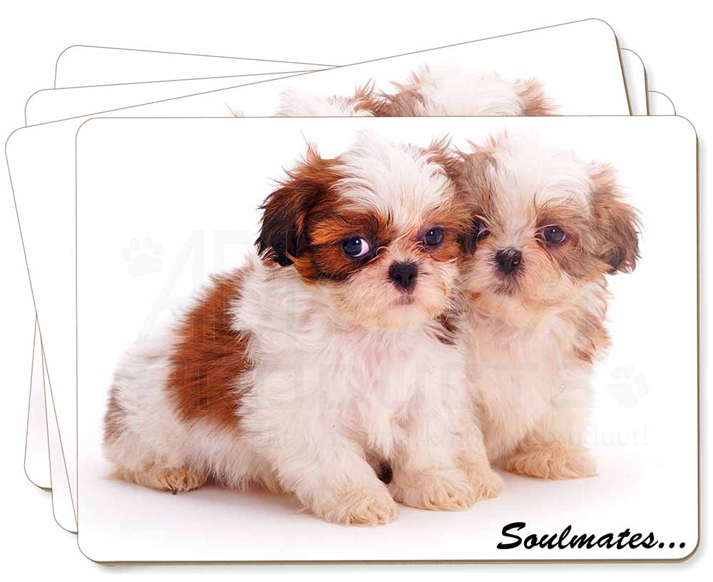 Shih Tzu Puppy Image Black Leather Keyring in Gift Box