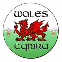 Wales Cymru Welsh Gift Fridge Magnet Printed Full Colour
