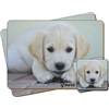 Labrador Puppy "Yours Forever…" Sentiment Leather Coaster and Placemat Gift Set