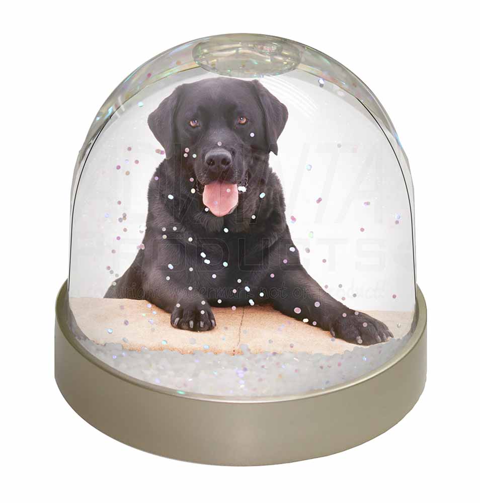 Black Labrador Dog Photo Snow Globe Waterball Christmas Gift, 13095