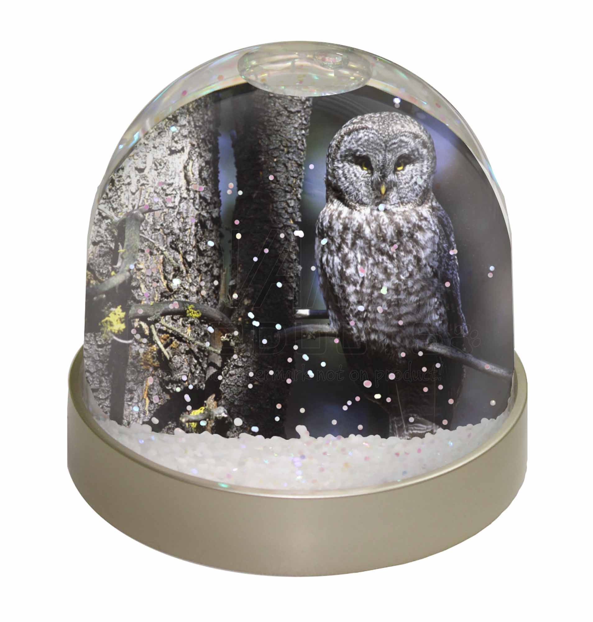 stuffed owl in glass dome
