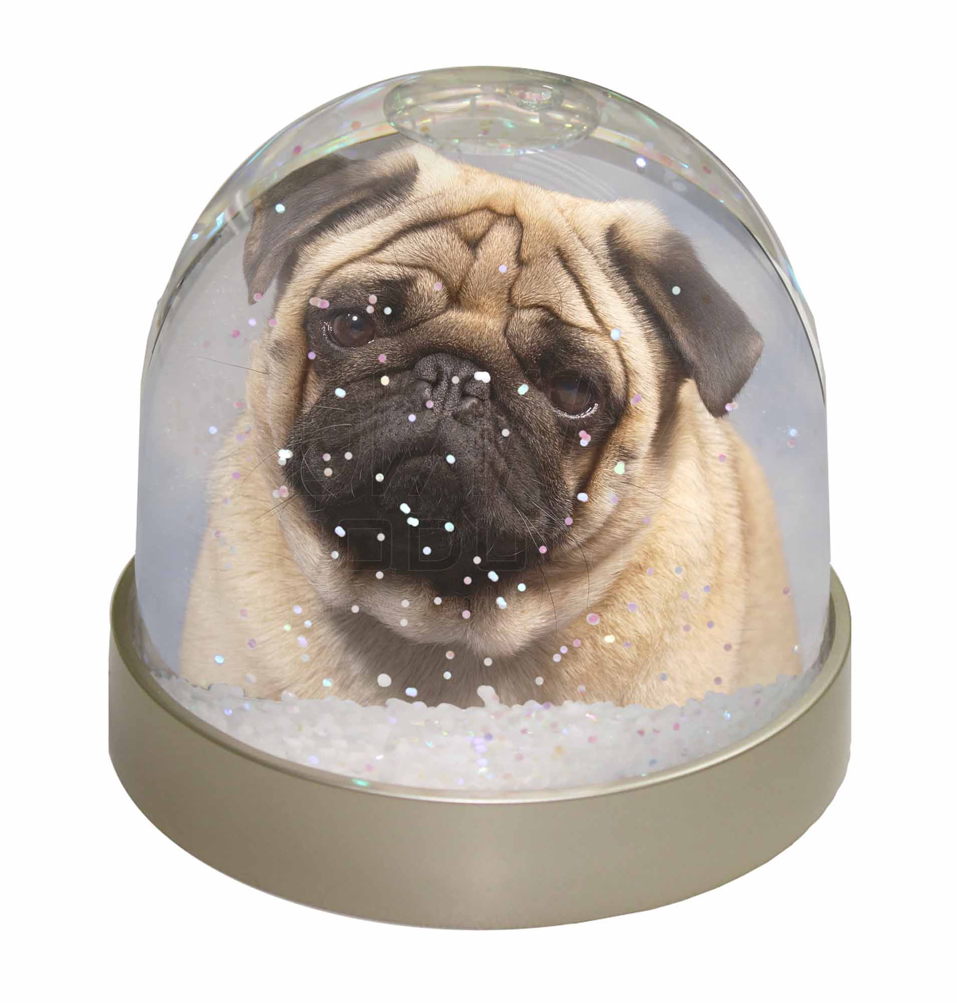 pug snow globe fawn pug snow dome globe waterball gift ebay pug snow globe fawn pug snow dome globe waterball gift ebay