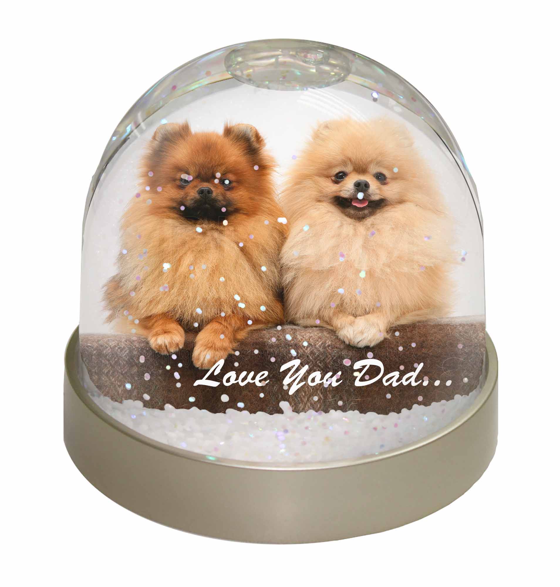 pomeranian gifts uk pomeranian dogs you snow dome globe waterball pomeranian gifts uk pomeranian dogs you snow dome globe waterball