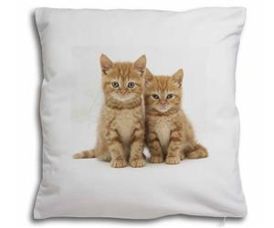 Click to see all products with these Ginger kittens.