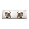 Silver Exotic Kitten Large PVC Cloth School Pencil Case AC-196CA