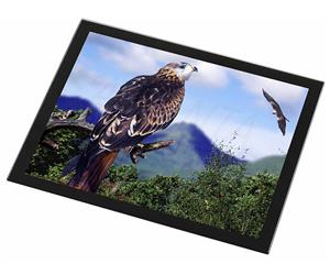 Click image to see all products with this Red Kite