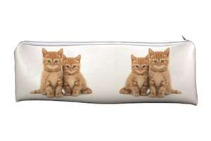 Ginger Kittens Large PVC Cloth School Pencil Case Cat