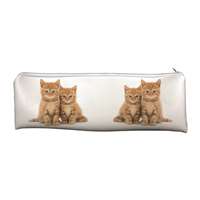Ginger Kittens Large PVC Cloth School Pencil Case Cat