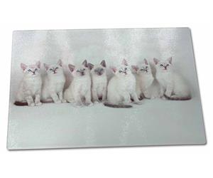 Click to see all products with these Snowshoe kittens. 