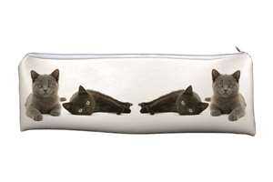 Black and Grey Kittens Large PVC Cloth School Pencil Case