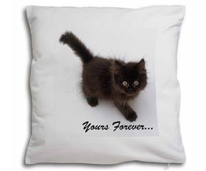 Click to see all products with this Chocolate Kitten.

"Yours Forever..."