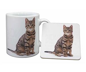Click to see all products with this Brown Tabby cat.