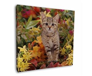 Click to see all products with this Tabby Kitten.