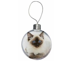 Click to see all products with this Ragdoll kitten.