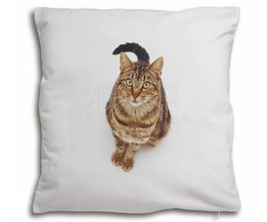 Click to see all products with this Brown Tabby cat.