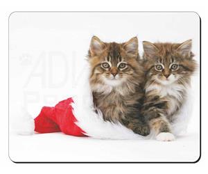 Click image to see all products with these Kittens.