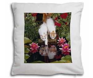 Click to see all products with this Turkish Van cats.