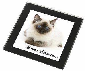Click to see all products with this Ragdoll kitten.

"Yours Forever..."