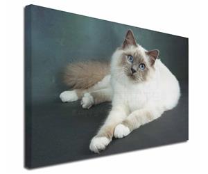 Click Image to See All 40 Different Products with this Birman Cat