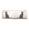 Brown Tabby Cat Large PVC Cloth School Pencil Case AC-201CA