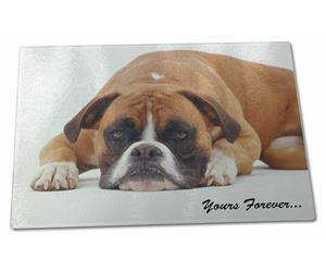 Click to see all products with this Boxer.

"Yours Forever..."