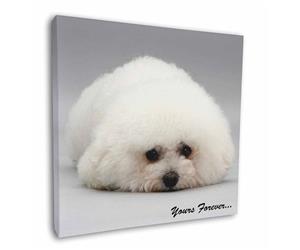 Click to see all products with this Bichon Frise.

"Yours Forever..."