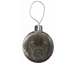 Click to see all products with this Bullmastiff Puppy