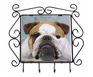 Click to see all products with this Bulldog