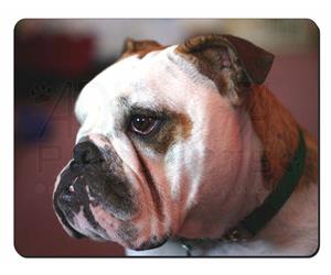 Click to see all products with this Bulldog