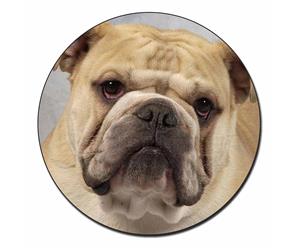 Click to see all products with this Bulldog