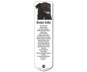 Click to see all products with this Black Border Collie