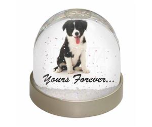 Click to see all products with this Border Collie.

"Yours Forever..."