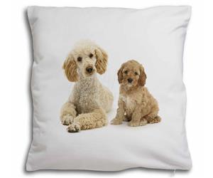 Click to see all products with this  Apricot Poodle and Cockerpoo Puppy