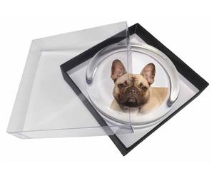 Click to see all products with this Fawn French Bulldog 