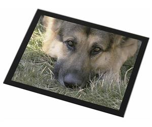 Click to see all products with this German Shepherd