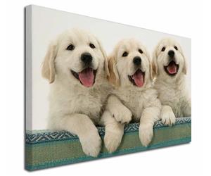 Click to see all products with these Golden Retriever Puppies