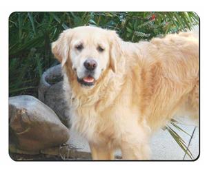 Click to see all products with this Golden Retriever