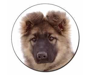 Click to see all products with this German Shepherd Puppy