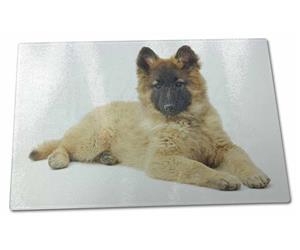 Click to see all products with this Belgian Shepherd