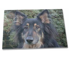 Click to see all products with this Tri-Colour German Shepherd