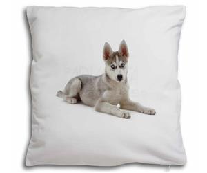 Click image to see all products with this Siberian Husky Puppy.