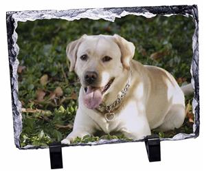 Click image to see all products with this Yellow Labrador.