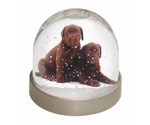 Click image to see all products with these Chocolate Labrador Puppies.