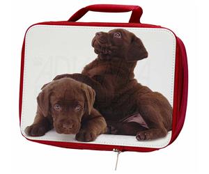 Click image to see all Chocolate Labrador Puppies.