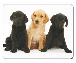Click image to see all products with these Black and Yellow Labrador Puppies.