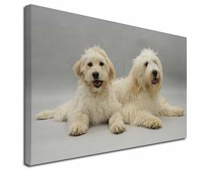 Click image to see all products with these Labradoodles.