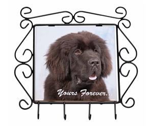 Click image to see all products with this Newfoundland.

"Forever Yours..."