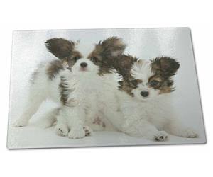 Click image to see all products with these Papillon Puppies.