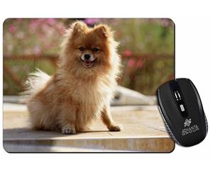 Click image to see all products with this Pomerian.
