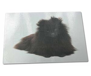 Click image to see all products with this Black Pomerian.